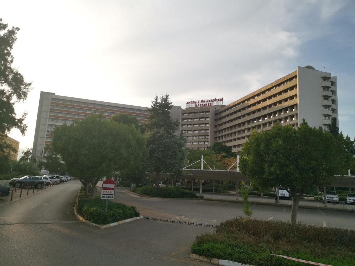 Araucaria Pension アンタルヤ エクステリア 写真